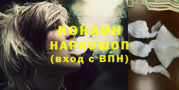 стаф Алексин