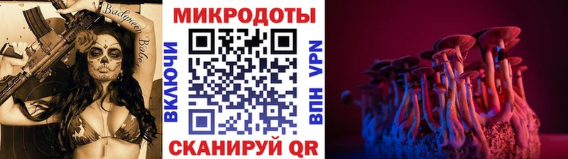 kraken вход  Костомукша  Галлюциногенные грибы Psilocybe  продажа наркотиков 